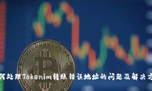 如何处理Tokenim转账错误地址的问题及解决方案