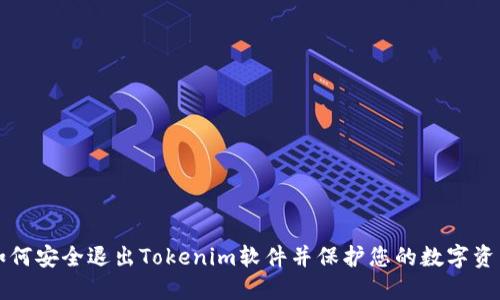如何安全退出Tokenim软件并保护您的数字资产