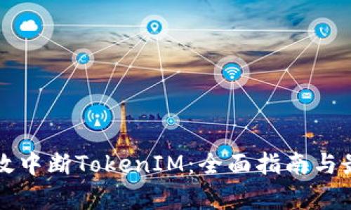 如何有效中断TokenIM：全面指南与最佳实践