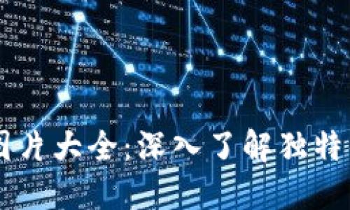 日本加密货币图片大全：深入了解独特的数字资产文化