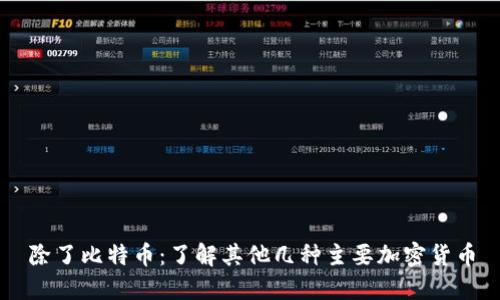 除了比特币：了解其他几种主要加密货币