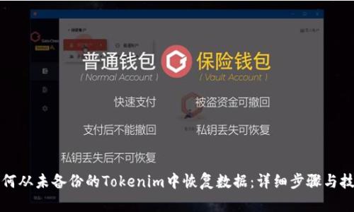 如何从未备份的Tokenim中恢复数据：详细步骤与技巧