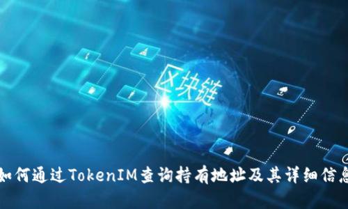 如何通过TokenIM查询持有地址及其详细信息