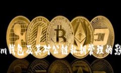 Tokenim钱包及其对公链私钥管理的影响解析