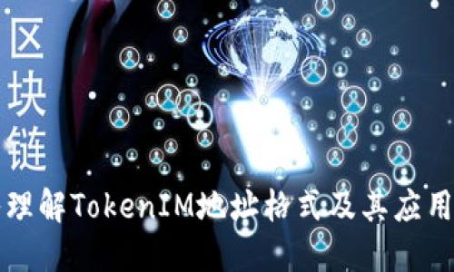 深入理解TokenIM地址格式及其应用场景