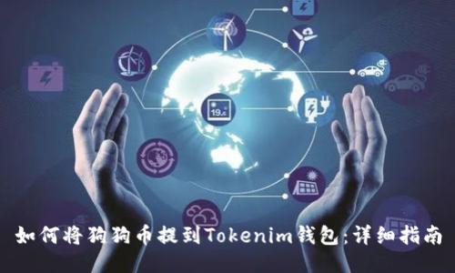 如何将狗狗币提到Tokenim钱包：详细指南