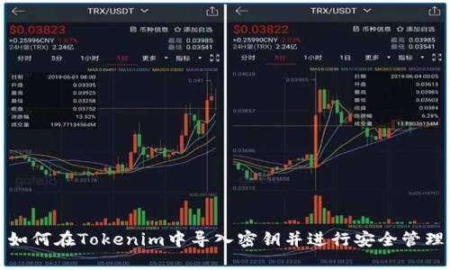如何在Tokenim中导入密钥并进行安全管理