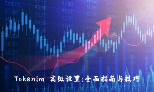Tokenim 高级设置：全面指南与技巧
