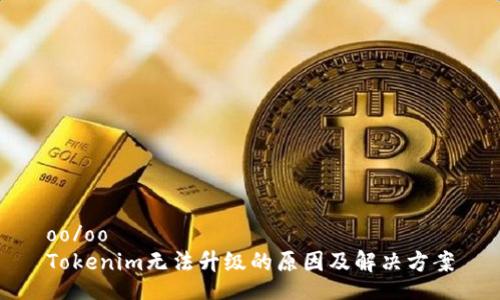 oo/oo
Tokenim无法升级的原因及解决方案