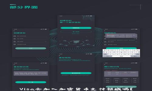 
Visa会加入加密货币支付领域吗？