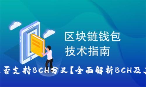 Tokenim是否支持BCH分叉？全面解析BCH及其分叉影响