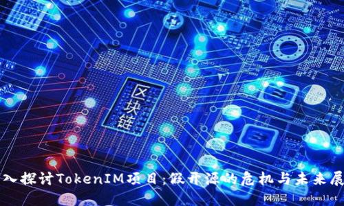 深入探讨TokenIM项目：假开源的危机与未来展望