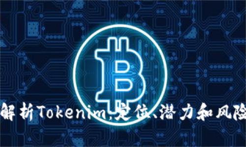 深入解析Tokenim：定位、潜力和风险分析