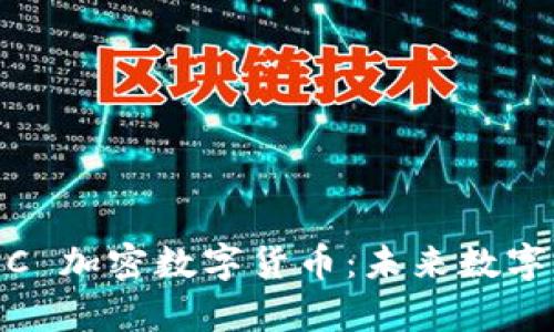 深入解析 MDC 加密数字货币：未来数字资产的新机遇