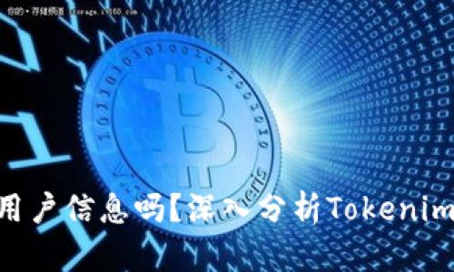 Tokenim会泄露用户信息吗？深入分析Tokenim的隐私和安全性
