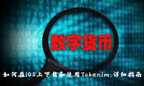 如何在iOS上下载和使用Tokenim：详细指南